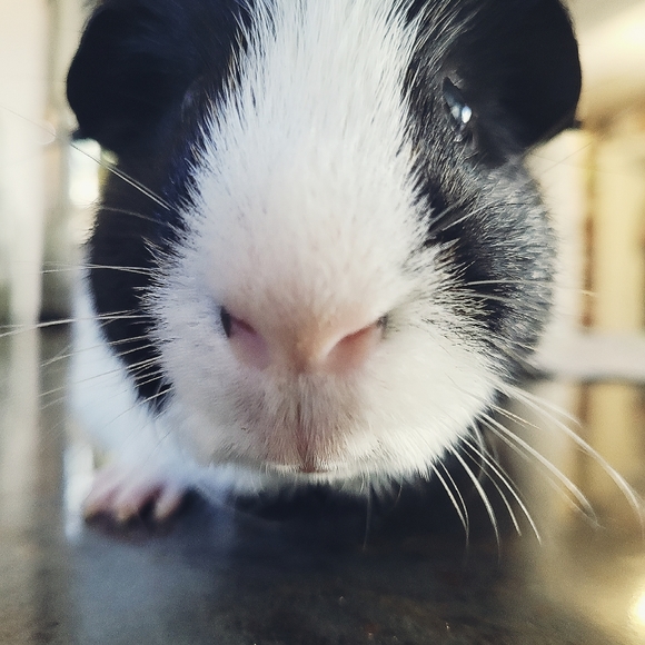 Meet your Posher, Ann - Picture 2 of 2